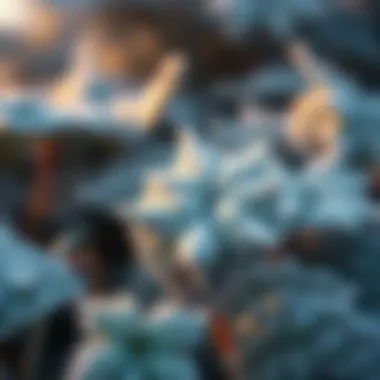 Close-up of frost-covered leaves showcasing resilience